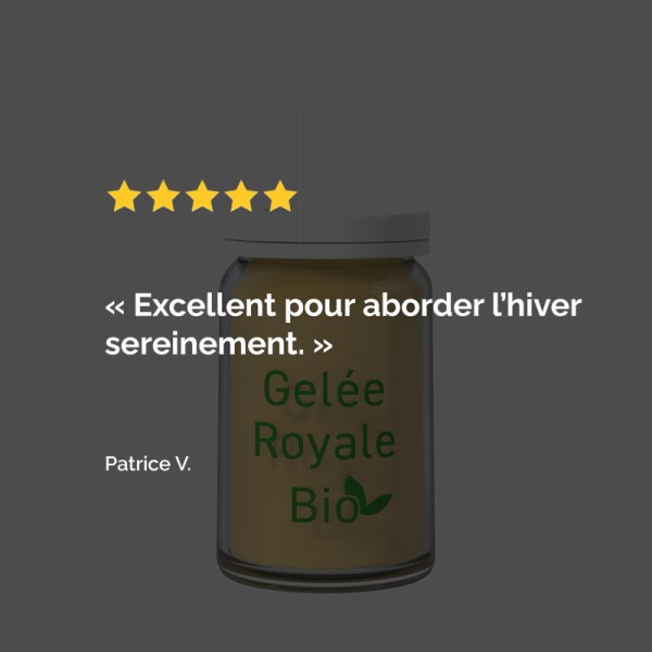 Gelée Royale Bio : trésor de la nature pour renforcer la vitalité