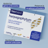 Harpagophytum Premium en Gélules